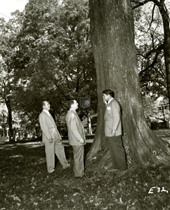 Image description is not available for 1955.013